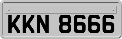 KKN8666