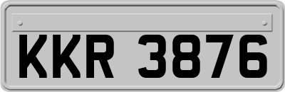KKR3876