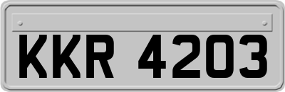 KKR4203