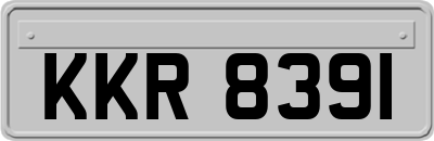 KKR8391