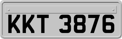 KKT3876