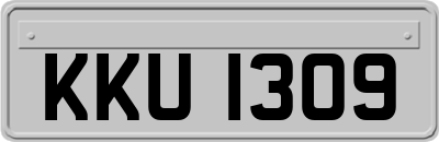 KKU1309