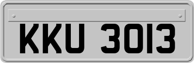 KKU3013