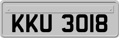 KKU3018