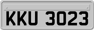 KKU3023
