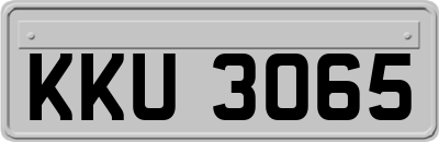 KKU3065