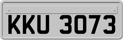 KKU3073