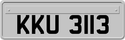 KKU3113