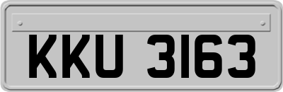 KKU3163