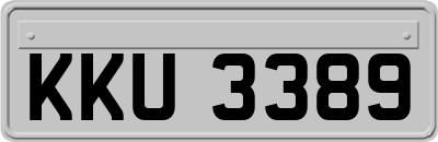 KKU3389