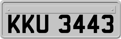 KKU3443