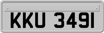 KKU3491