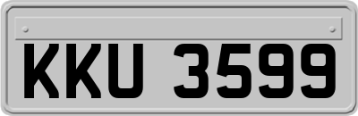 KKU3599