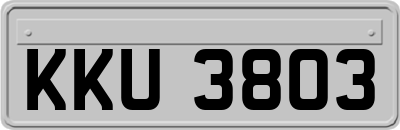 KKU3803