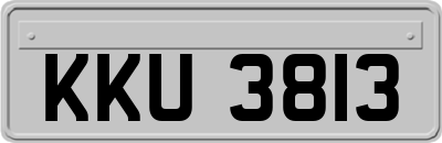 KKU3813