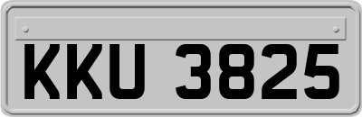 KKU3825