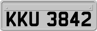 KKU3842