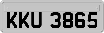 KKU3865