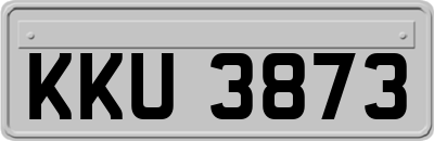 KKU3873