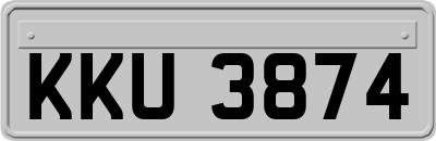 KKU3874