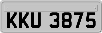 KKU3875