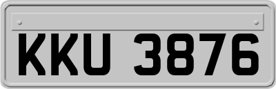 KKU3876