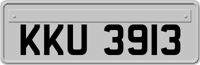 KKU3913