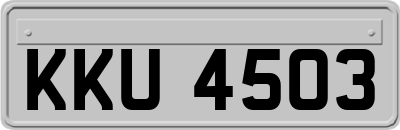 KKU4503