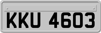 KKU4603