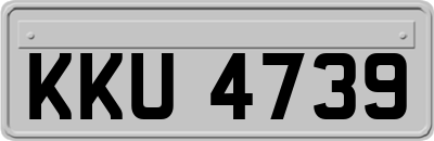 KKU4739