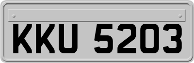 KKU5203