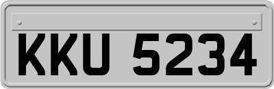 KKU5234