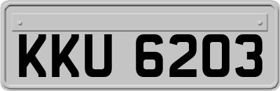 KKU6203