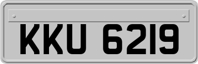 KKU6219