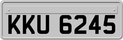 KKU6245