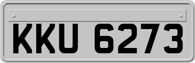 KKU6273