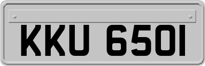 KKU6501