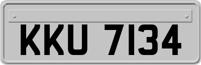 KKU7134
