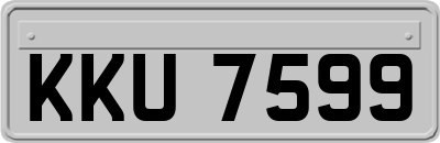 KKU7599