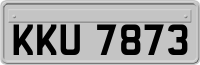 KKU7873