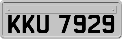 KKU7929