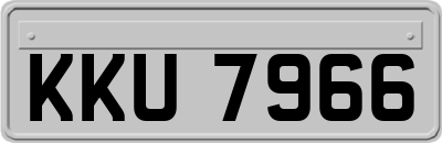 KKU7966