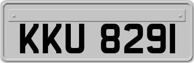 KKU8291