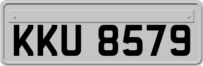 KKU8579