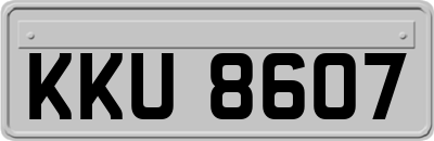KKU8607
