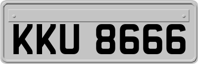 KKU8666