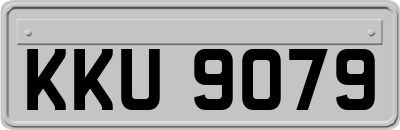 KKU9079