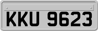 KKU9623