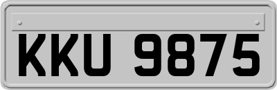 KKU9875