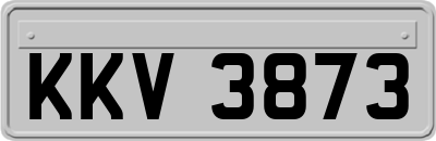 KKV3873